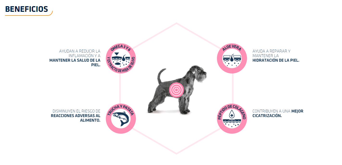 ADVANCE VET DOG ATOPIC MEDIUM MAXI TRUCHA - Imagen 3
