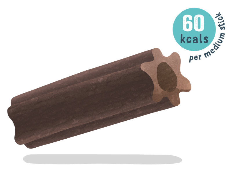 EDGARD COOPER DOGGY DENTAL MANZANA EUCALIPTTO LARGE - Imagen 2