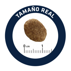veterinary_diets_urinary_2_1