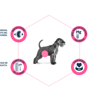 AVET DOG URINARY BENEFICIOS